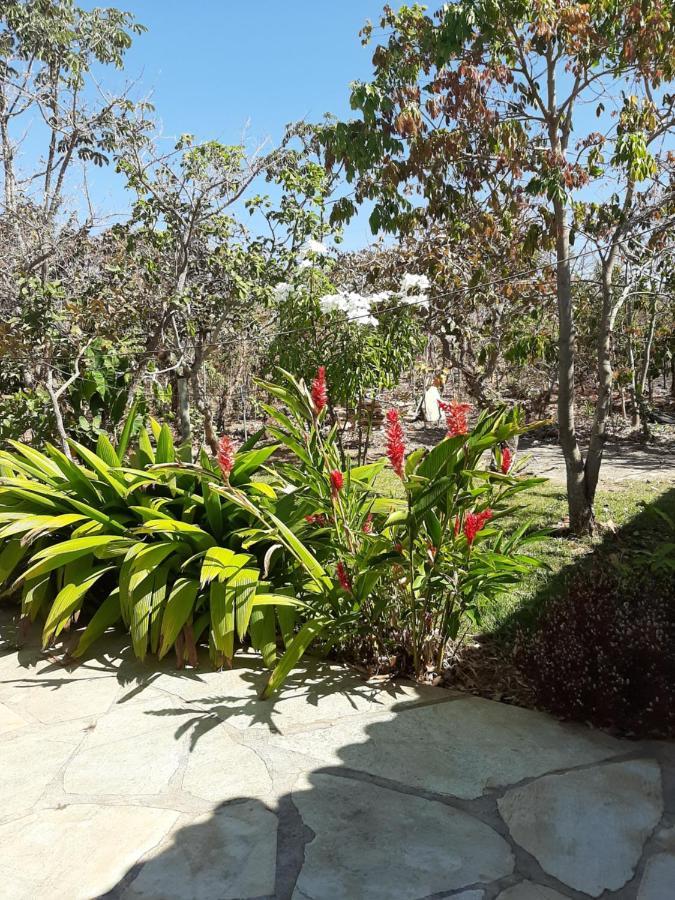 Estancia Morro Do Frota Пиренополис Экстерьер фото