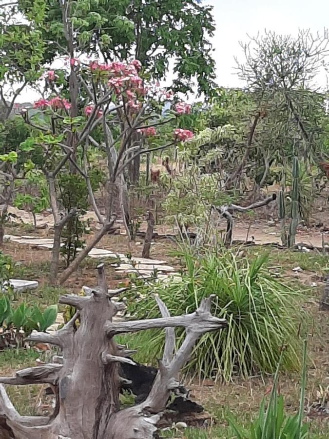 Estancia Morro Do Frota Пиренополис Экстерьер фото