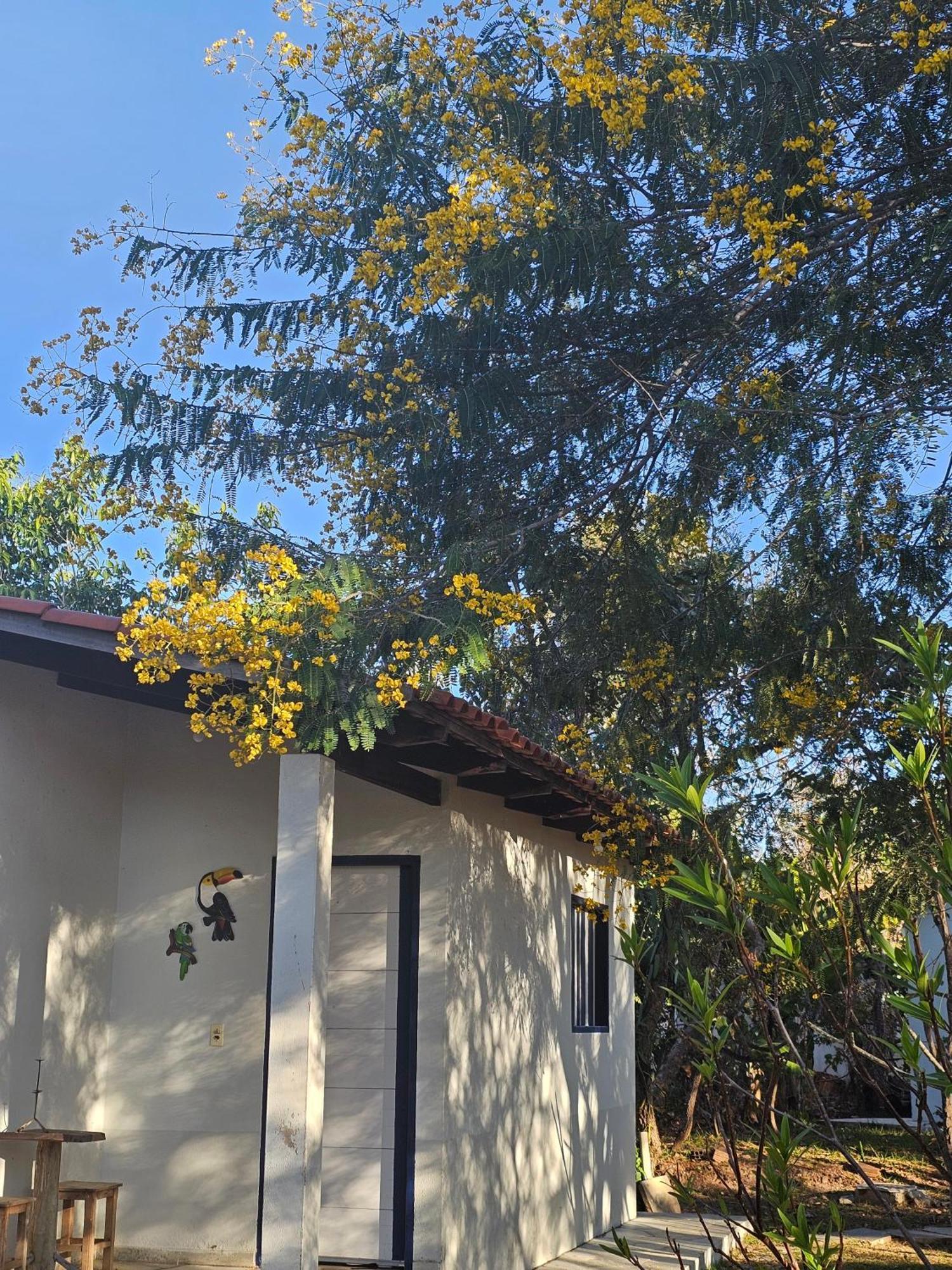 Estancia Morro Do Frota Пиренополис Экстерьер фото